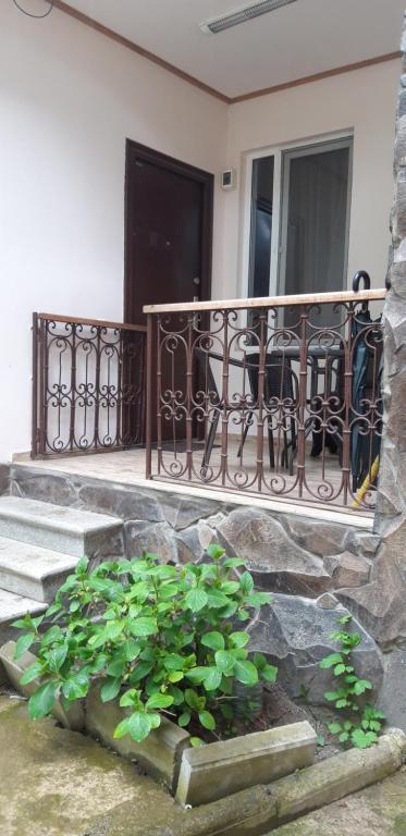 Ira & Vaso's guest house Borjomipark room 6